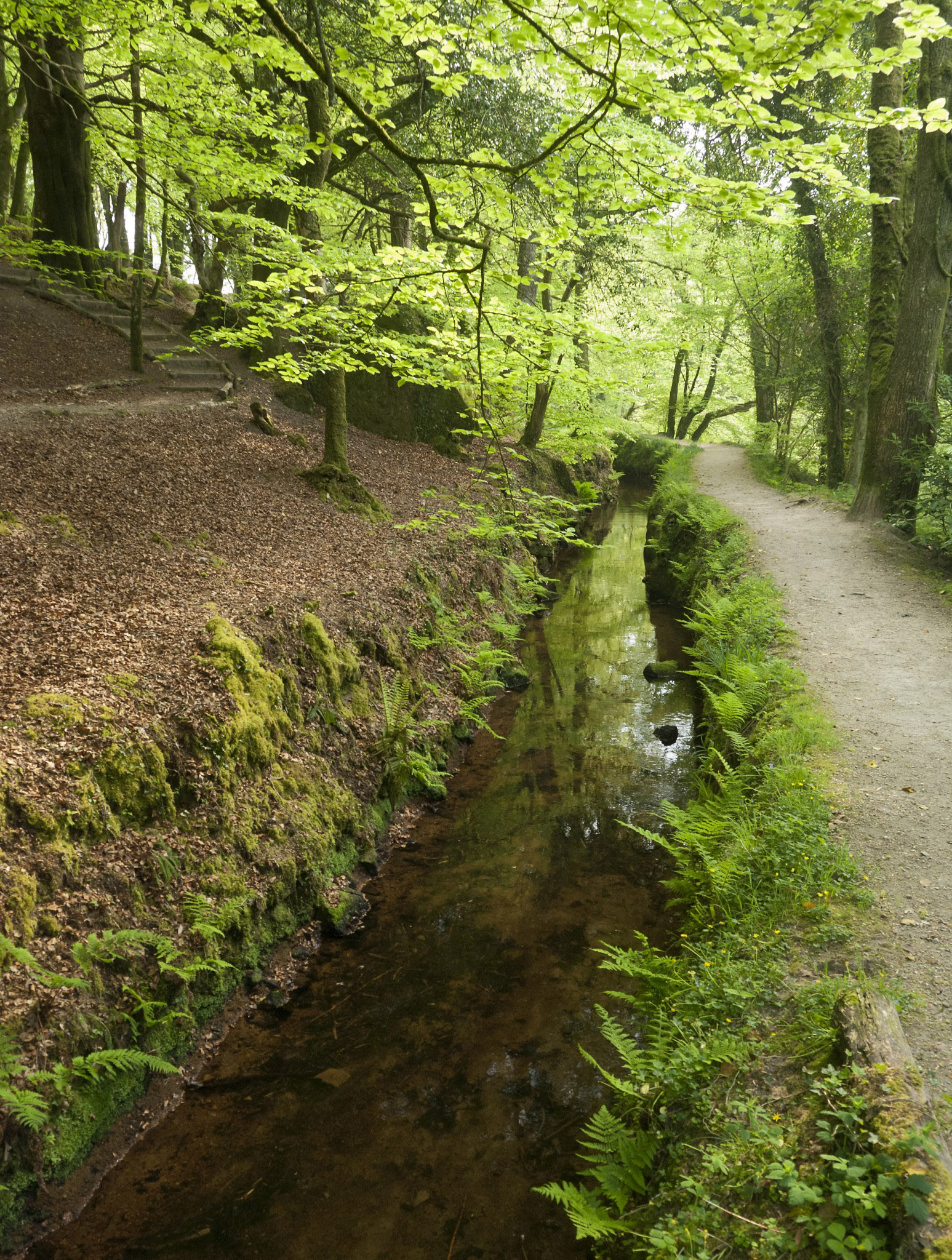 Luxulyan Valley, Fowey Consols Leat